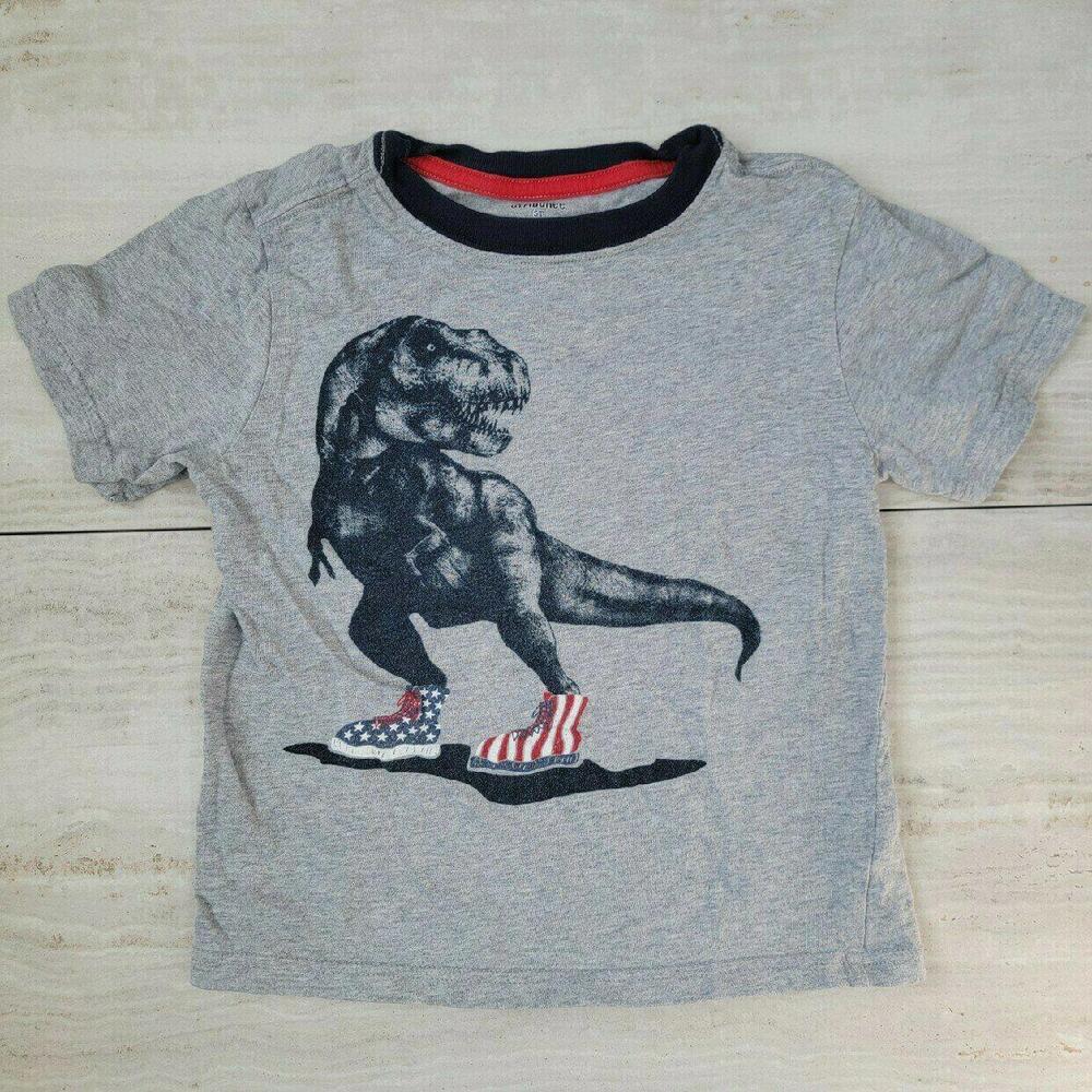 Dino-tastic Kids' T-Shirt with Patriotic Design